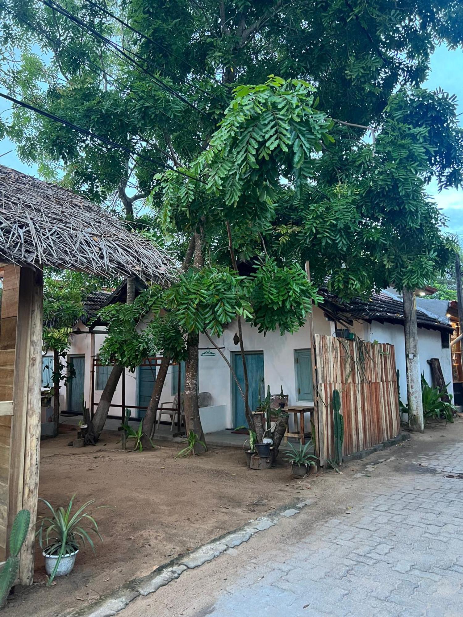 Cactus Arugambay Arugam Bay Exterior foto